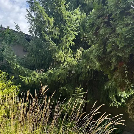 Gluecksort Fuer Monteure Dom Und Harz Erleben K1a Appartement *