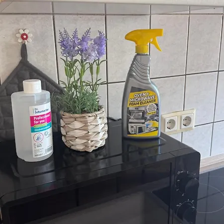 Apartment Glücksort Dom Und Harz Erleben